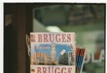 Buy My Trip Reviews: Honest Insights To Help You Choose Wisely