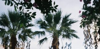 Nicest Hotel Experiences: Discover The Ultimate Luxury Escape