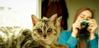 Bad Kitty Photography Reviews: Uncover The Truth Behind The Lens