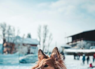 Otel Reviews: Discover The Ultimate Secrets To Choosing Perfect Stays