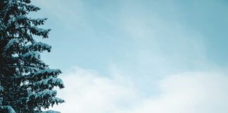 Edit My Google Reviews: How To Improve Your Reputation Quickly