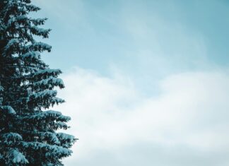 Edit My Google Reviews: How To Improve Your Reputation Quickly