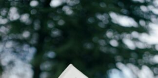 Something About Her Yelp: Discover Shocking Reviews You Must Read