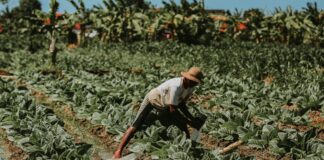 Local Business Near Me: How To Find Hidden Gems In Your Area