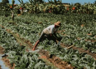 Local Business Near Me: How To Find Hidden Gems In Your Area