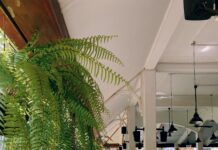 Rating For Hotels: Discover How To Choose The Perfect Stay