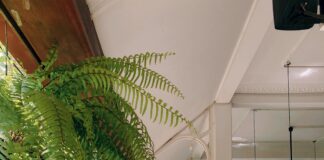 Rating For Hotels: Discover How To Choose The Perfect Stay