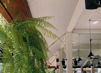 Rating For Hotels: Discover How To Choose The Perfect Stay