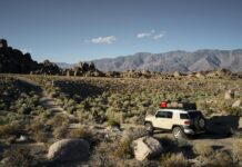 LocalCar.Shop Secrets: How to Find Amazing Deals on Your Next Ride