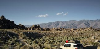 LocalCar.Shop Secrets: How to Find Amazing Deals on Your Next Ride