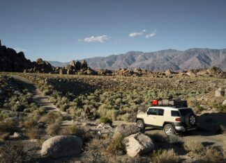 LocalCar.Shop Secrets: How to Find Amazing Deals on Your Next Ride