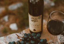 Appetizers Examples That Will Wow Your Guests With Flavor