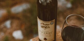 Appetizers Examples That Will Wow Your Guests With Flavor