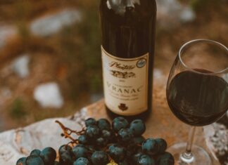 Appetizers Examples That Will Wow Your Guests With Flavor