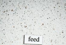 Aesthetic Sentence Examples That Inspire Creativity And Elegance