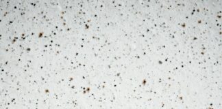 Aesthetic Sentence Examples That Inspire Creativity And Elegance