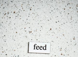 Aesthetic Sentence Examples That Inspire Creativity And Elegance